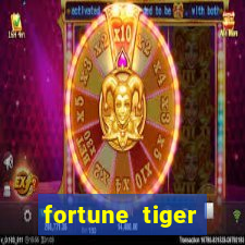 fortune tiger aposta 1 real